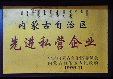 內蒙古自治區先進私營企業