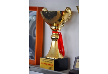 青城杯優質樣板工程