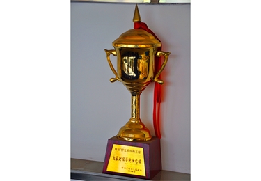 優質樣板工程內蒙古財經學院住宅樓