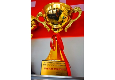 青城杯優質樣板工程