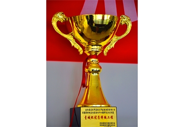 青城杯優質樣板工程